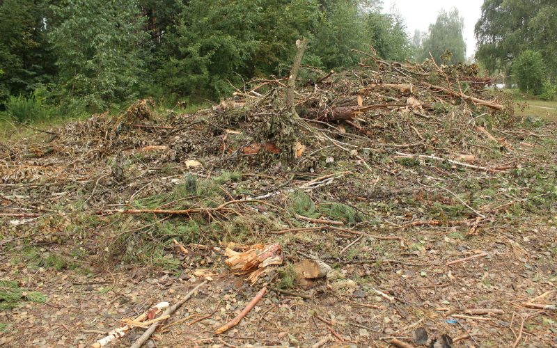 A plot of land cleared of trees and bushes.