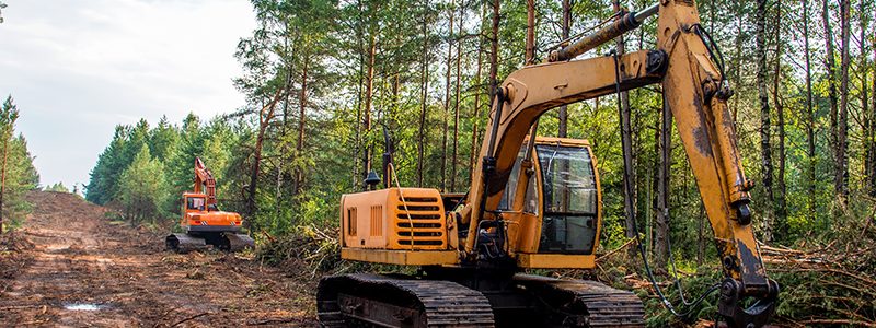 Excavator Grapple during clearing forest for new development. Tracked Backhoe with forest clamp for forestry work. Tracked timber Crane and Hydraulic Grab log Loader.